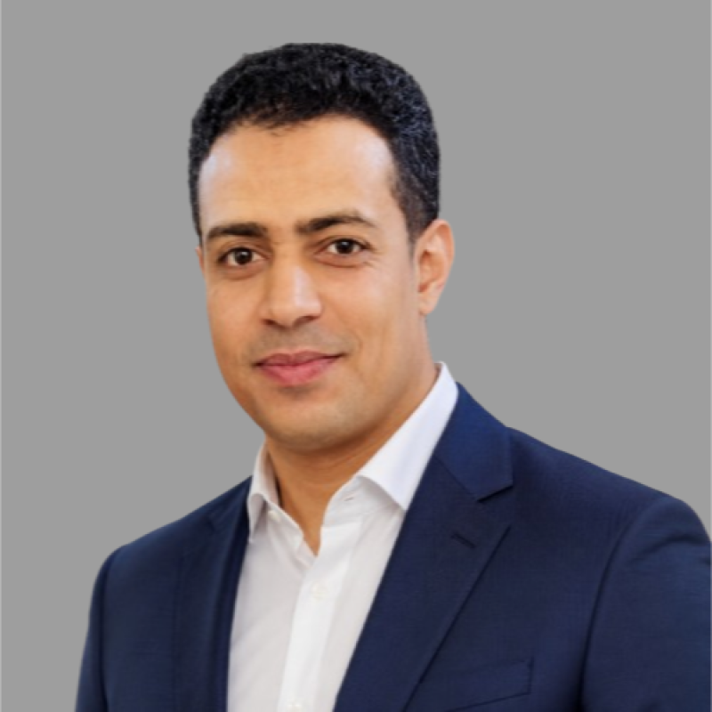 Ahmed Hassan, PMP®, RMP®