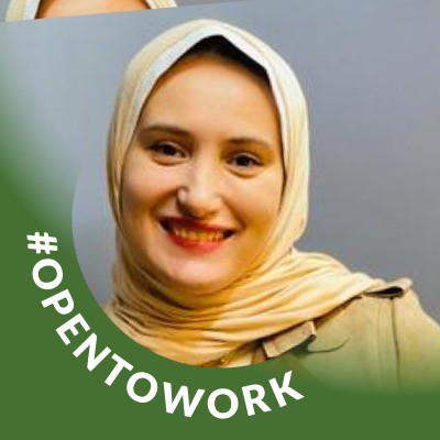 Alaa El-Husseini