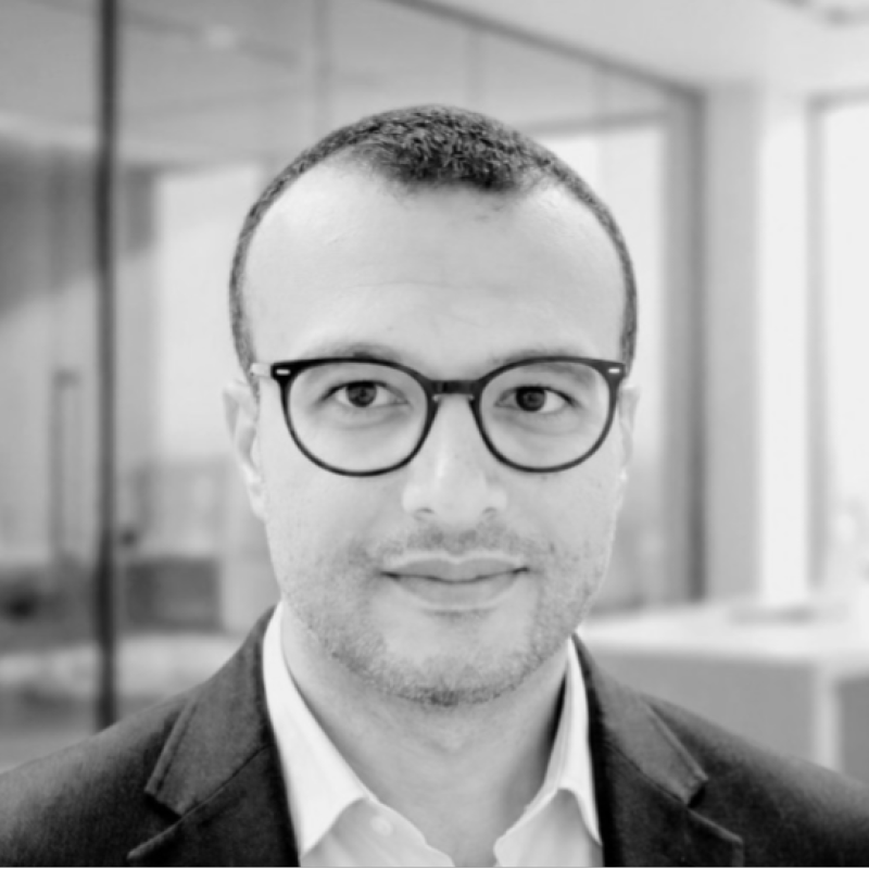 Mahmoud Hafez