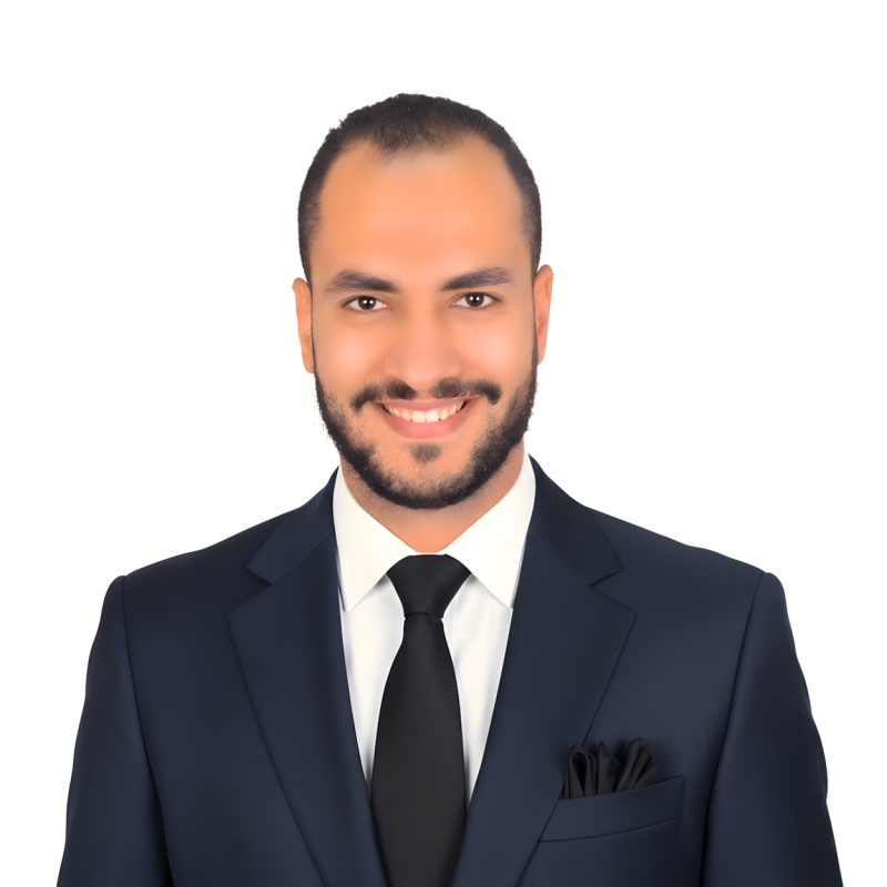 Mohamed Mohsen Elamhawy